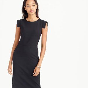 J. Crew Résumé Dress